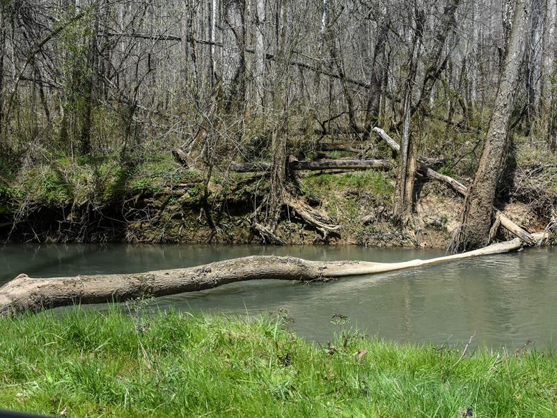 Mouse Creek Tract : Calhoun : McMinn County : Tennessee