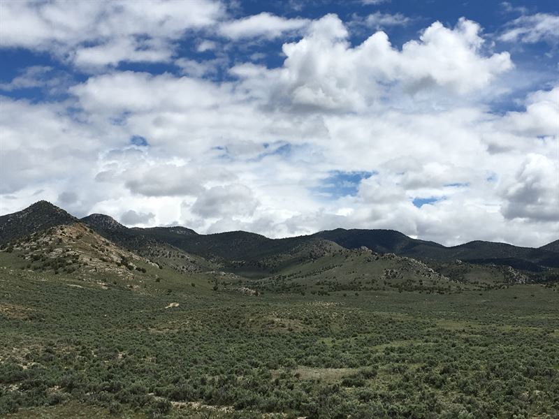 Walk Away From The Stress of City : Montello : Elko County : Nevada