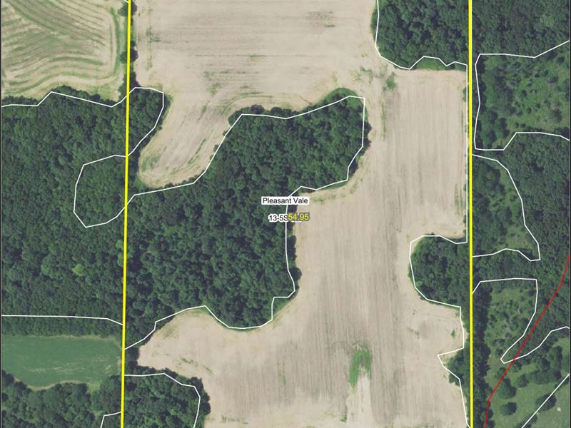 56 Acres, Pleasant Vale Twp : El Dara : Pike County : Illinois