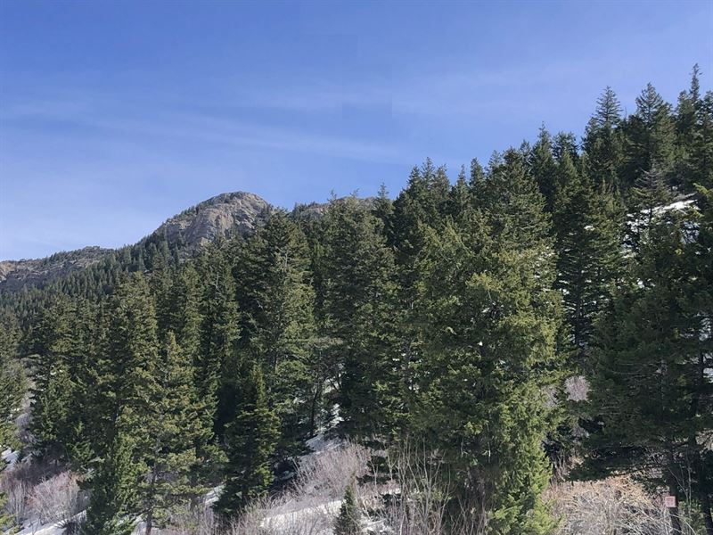 Walker Creek Off-Grid Recreational : McCammon : Bannock County : Idaho