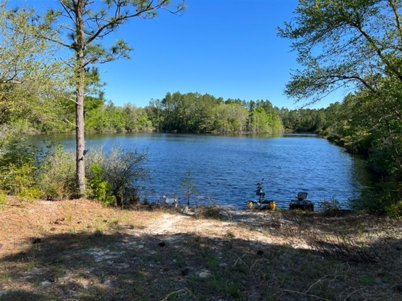Large Acreage Hunting Tract : Ponce De Leon : Holmes County : Florida