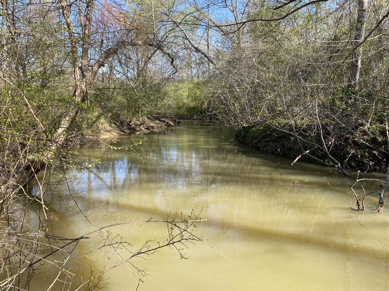 Blank Canvas : Vandiver : Shelby County : Alabama