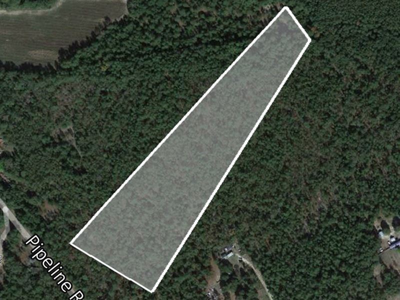 13.02 Ac, Selling Below Value : Windsor : Aiken County : South Carolina
