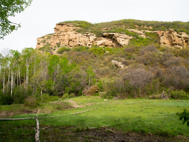 Broken Butt Ranch Tract 2 : Chama : Rio Arriba County : New Mexico