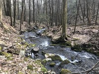 Mountain Setting with Options : Mamakating : Sullivan County : New York