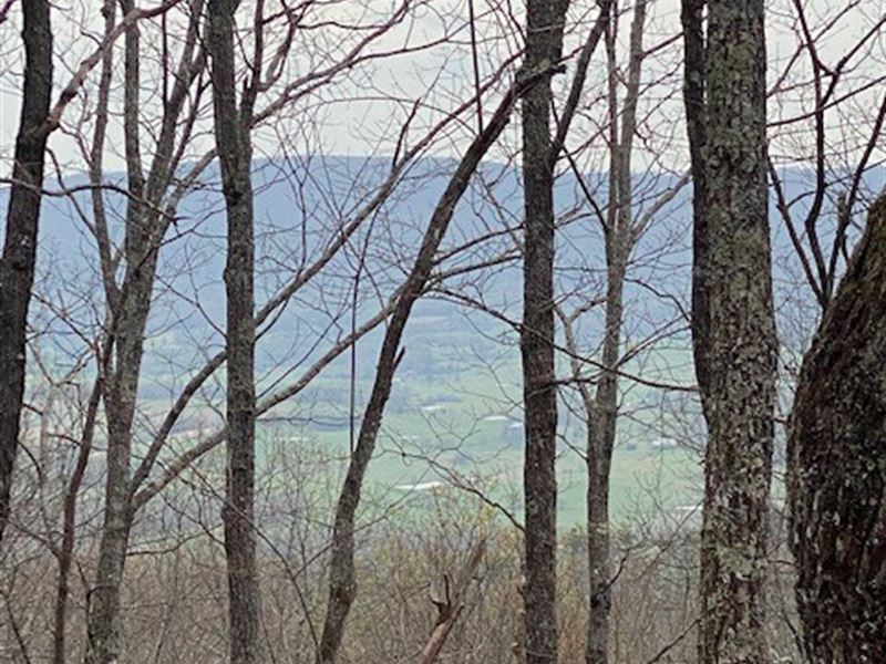 92.34+/- Acres Keener Hill Road : Pikeville : Bledsoe County : Tennessee