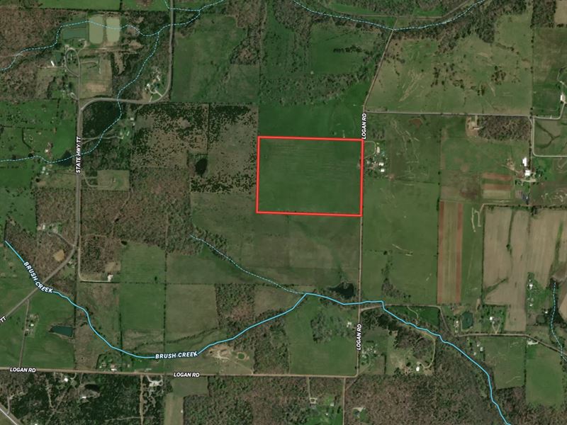 Southern Missouri Land for Sale : Hartville : Wright County : Missouri
