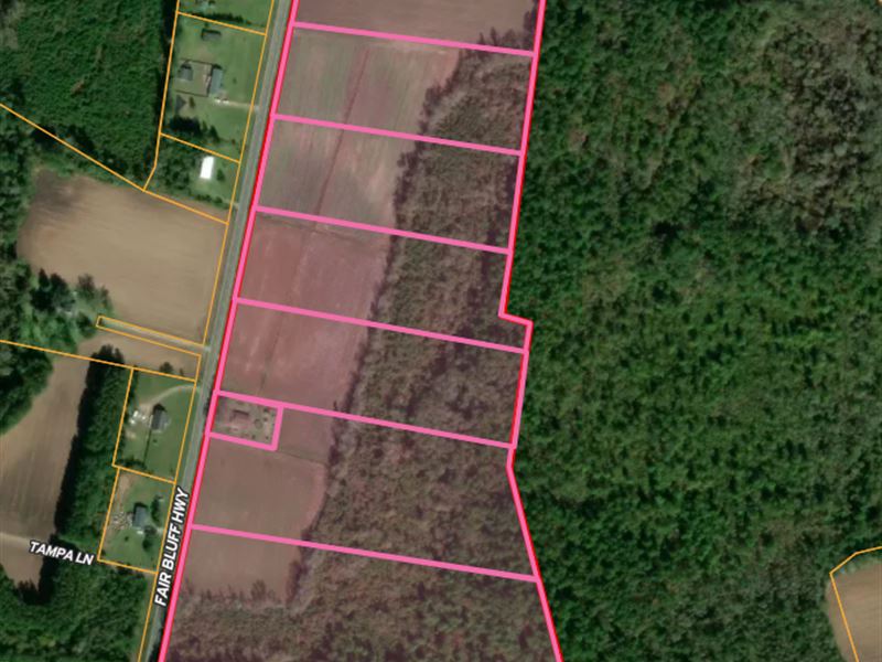 Multiple 5-10 Acre Homesites or Hom : Green Sea : Horry County : South Carolina