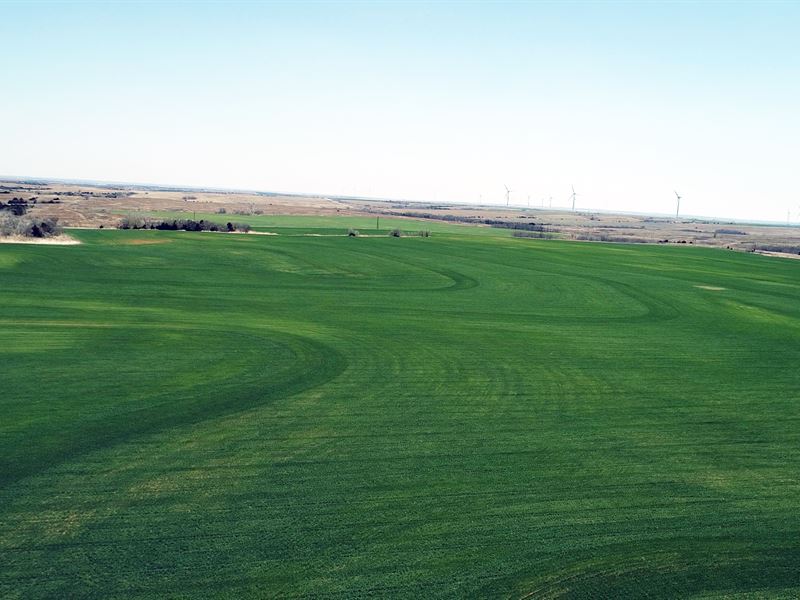 Productive Farmland : Putnam : Dewey County : Oklahoma