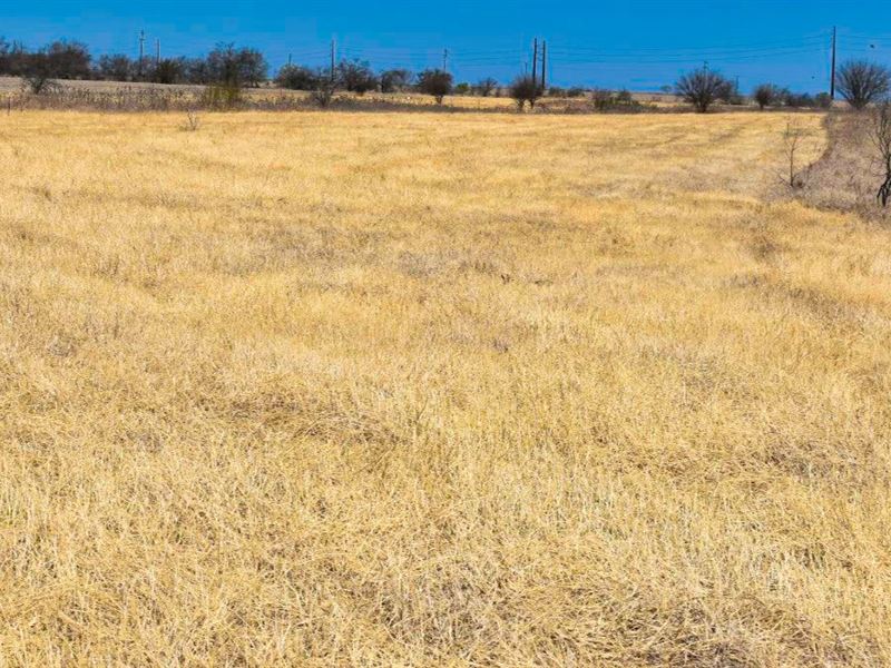 Small Town Texas Living : D'hanis : Medina County : Texas