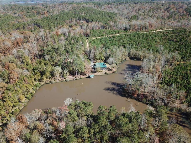 162 Acres in Barbour County : Eufaula : Barbour County : Alabama