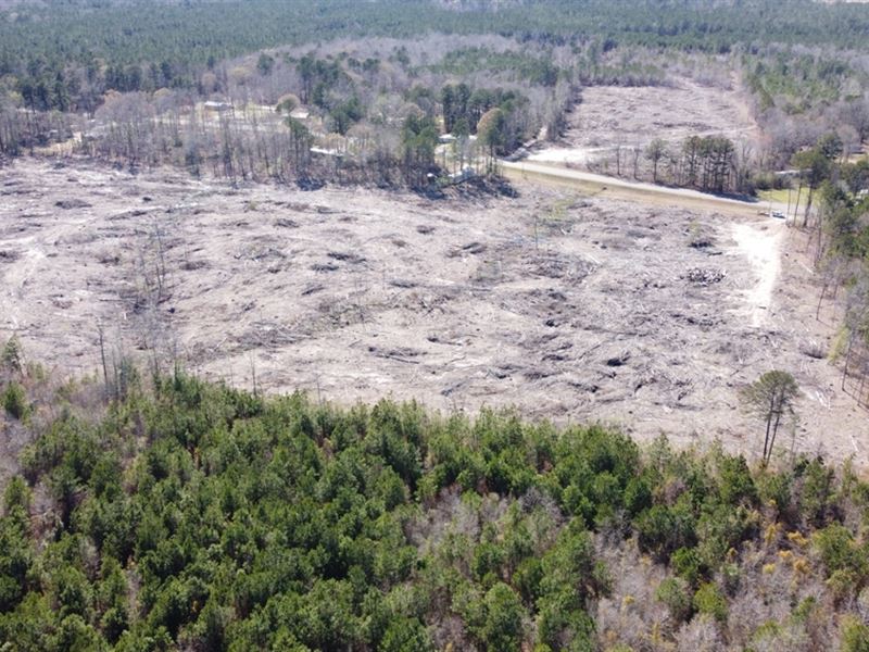 21 Acres Land for Sale Claiborne PA : Summerfield : Claiborne Parish : Louisiana