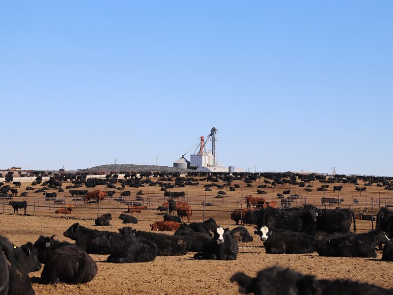 Jmb Feeders, Llc : Potter : Cheyenne County : Nebraska