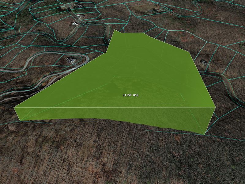 8.82 Acreage, Won't Last Long : Ellijay : Gilmer County : Georgia