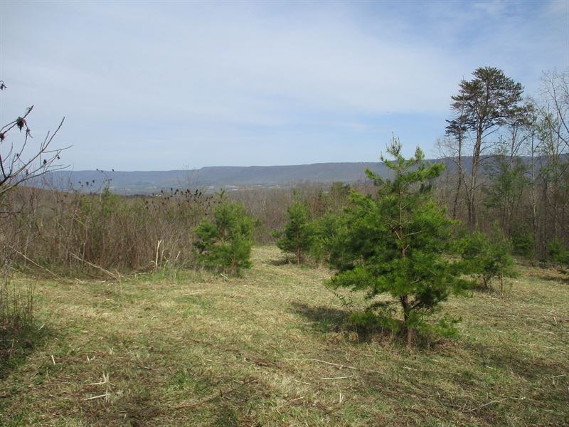Views, Views, Views : Pikeville : Bledsoe County : Tennessee