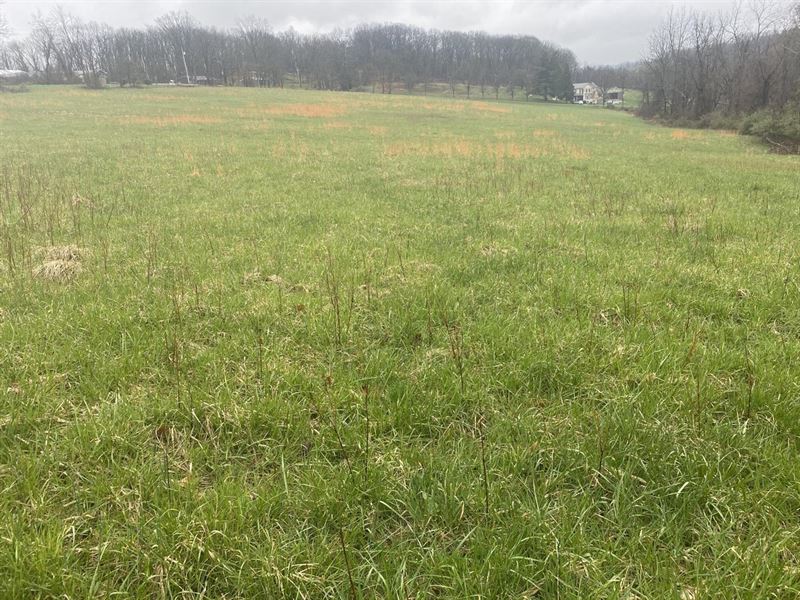 Perry Rd. Washington County, 17 ac : Avella : Washington County : Pennsylvania