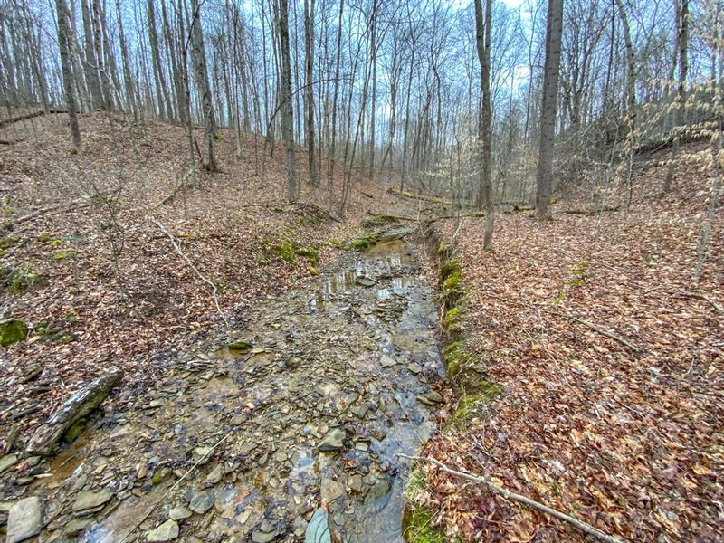 TR 3, 65 Acres, Noble County : Caldwell : Noble County : Ohio