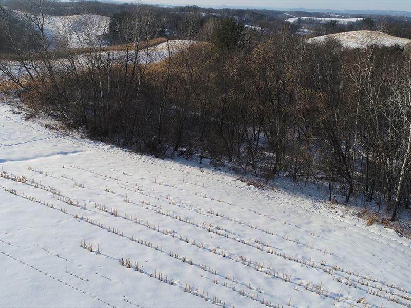 77.3 Acres in Buffalo County : Independence : Buffalo County : Wisconsin
