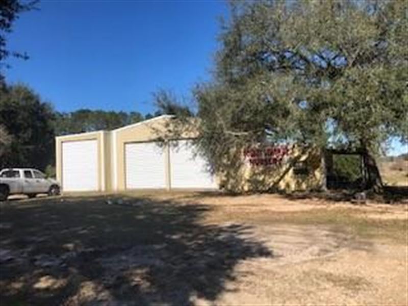 Forest Hill, LA Nursery : Forest Hill : Rapides Parish : Louisiana