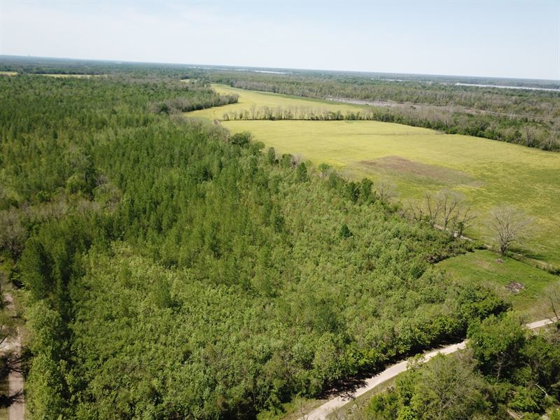 Ms, Warren 272 Acres : Vicksburg : Warren County : Mississippi