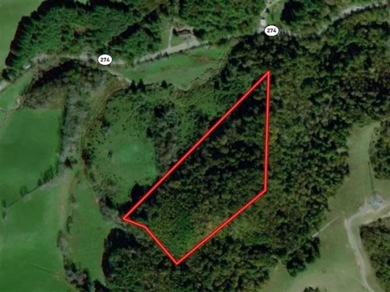 16.62 Acres of Hunting And Recreati : Independence : Grayson County : Virginia