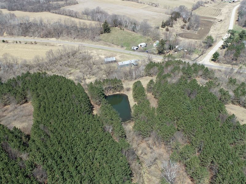 196.7 Acres, Jackson County : Melrose : Jackson County : Wisconsin