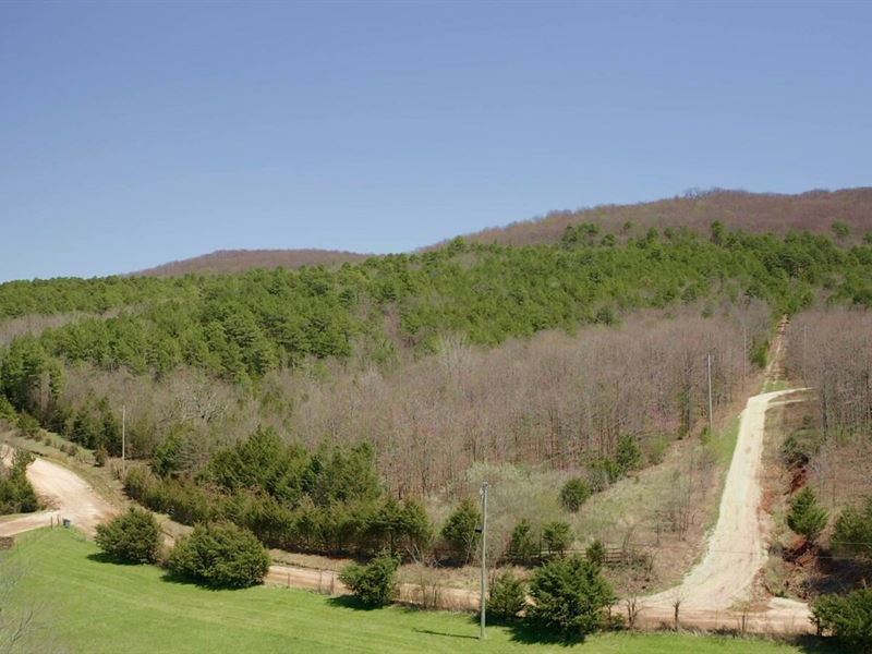 6.28 Acres in Boone County, AR : Harrison : Boone County : Arkansas