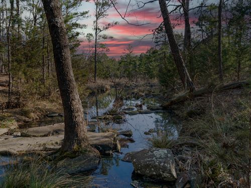 Outstanding Whitetail Hunting Ranch : Moyers : Pushmataha County : Oklahoma