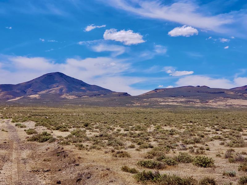 Huge Agricultural Land : Battle Mountain : Lander County : Nevada