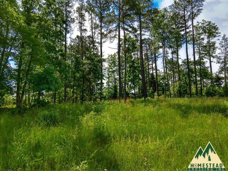 Riverfront on Big Piney, MO, Farm for Sale by Owner in Missouri