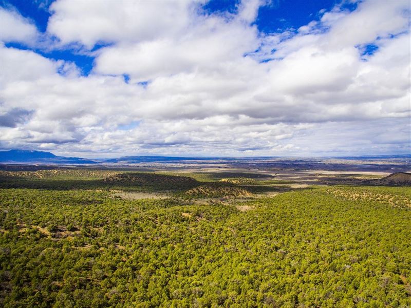 Mesa Verde 920 : Cortez : Montezuma County : Colorado