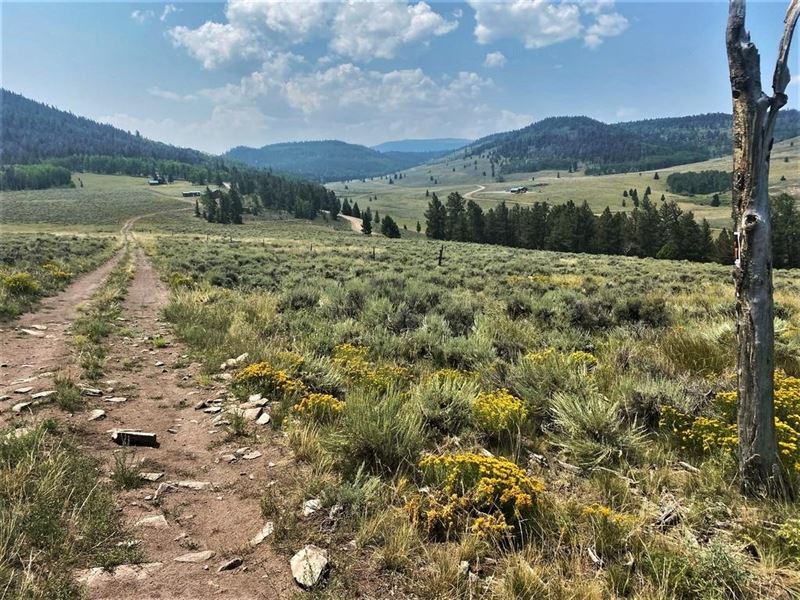 Blue Mesa Acreage : Powderhorn : Gunnison County : Colorado