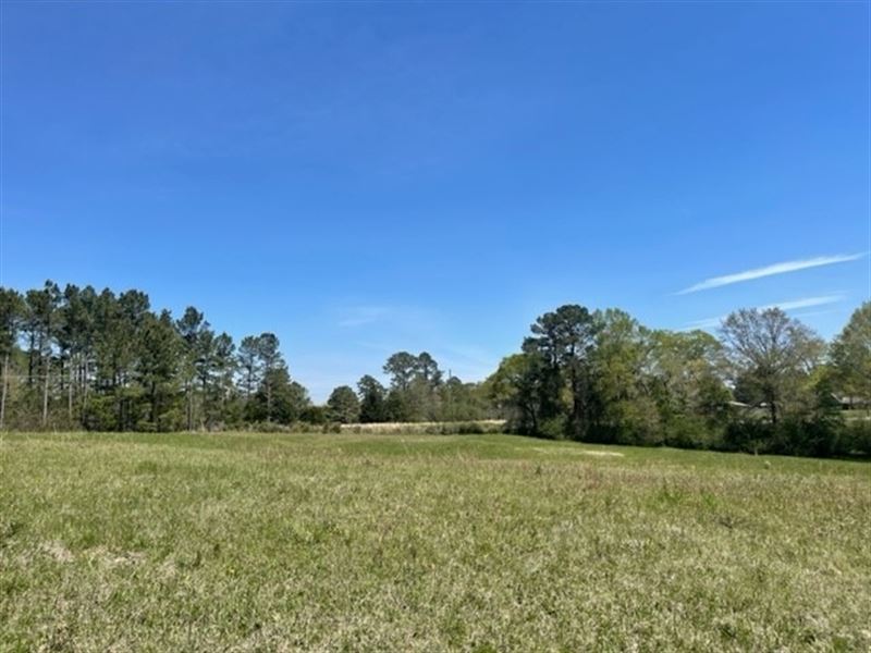 30 Acres in Jones County in Moselle : Moselle : Jones County : Mississippi