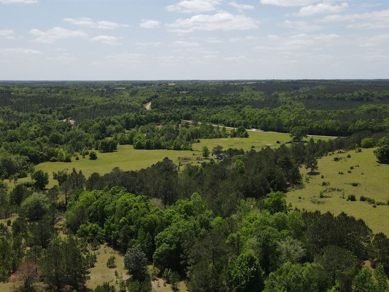 Incredible Views, A Mile of Creek : Haleburg : Henry County : Alabama