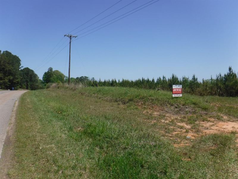 Brewer Road Tract : Meridian : Lauderdale County : Mississippi