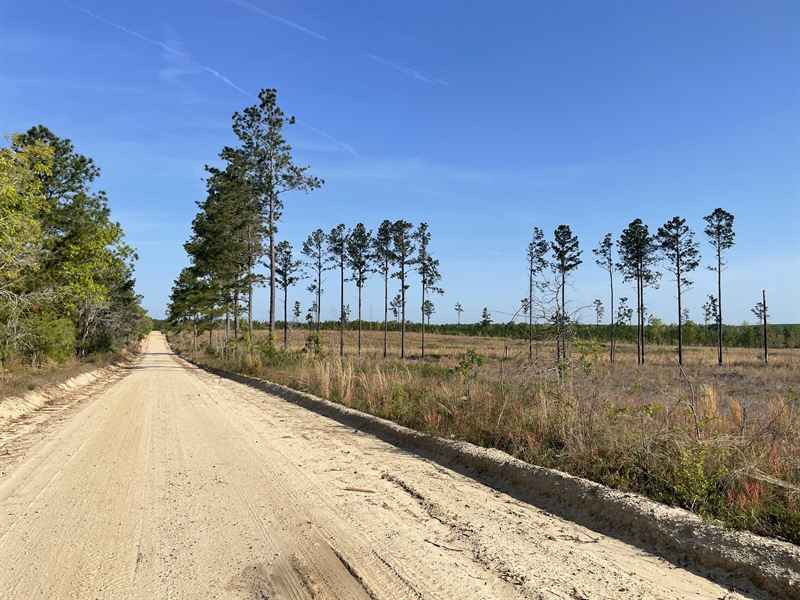 67 Acres in Heath Springs, SC : Heath Springs : Kershaw County : South Carolina