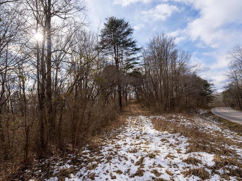 Ilesboro Rd, 106 Acres, Hocking : Logan : Hocking County : Ohio