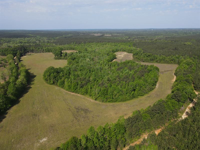 Club Pond Tract North : Brantley : Crenshaw County : Alabama