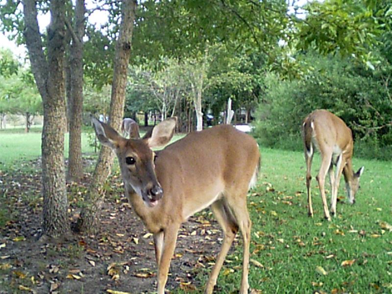Nice Weekend Getaway Near Pintlala : Hope Hull : Montgomery County : Alabama