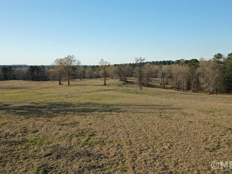Final Closeout Land Sale, Farm for Sale by Owner in Texas, 318777