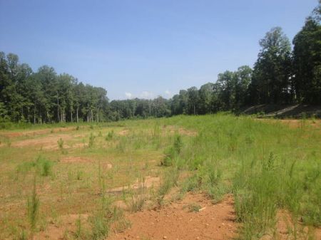 49.75 Acres Mcdaniel Street : Monroe : Walton County : Georgia