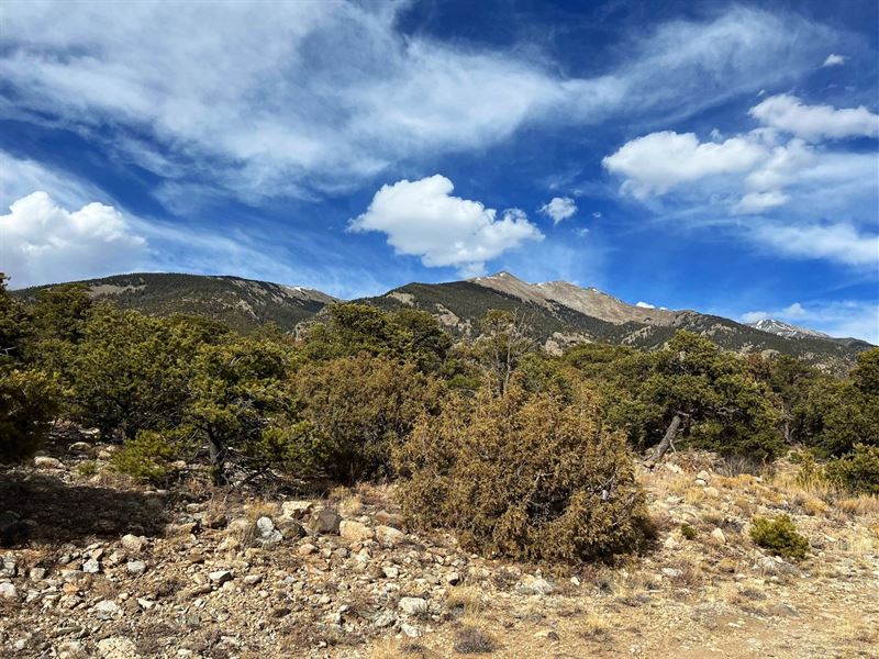 Rare, Walk to National Forest : Alamosa : Alamosa County : Colorado