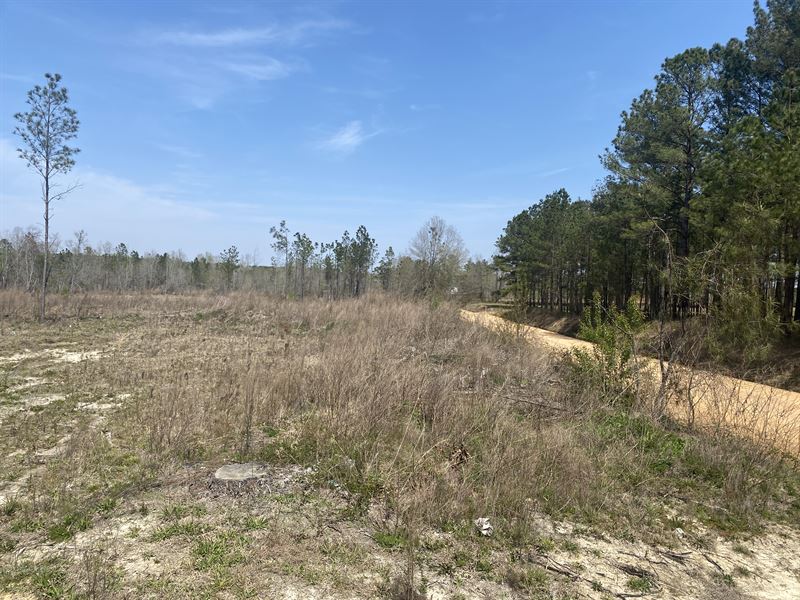 Estate Lot with Room for Recreation : Wrightsville : Johnson County : Georgia