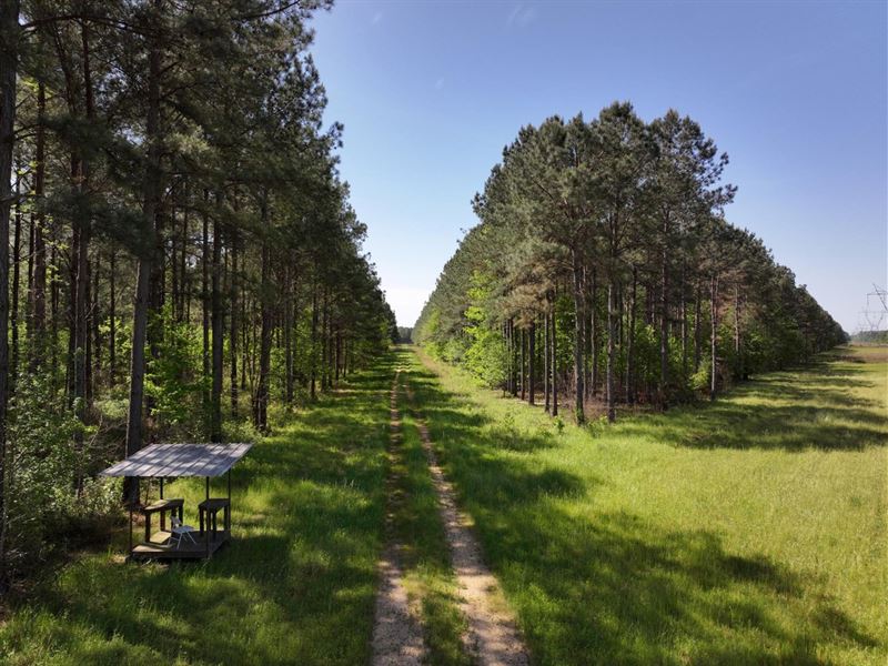 Stovall Bottom 615 Acres : Hamilton : Monroe County : Mississippi