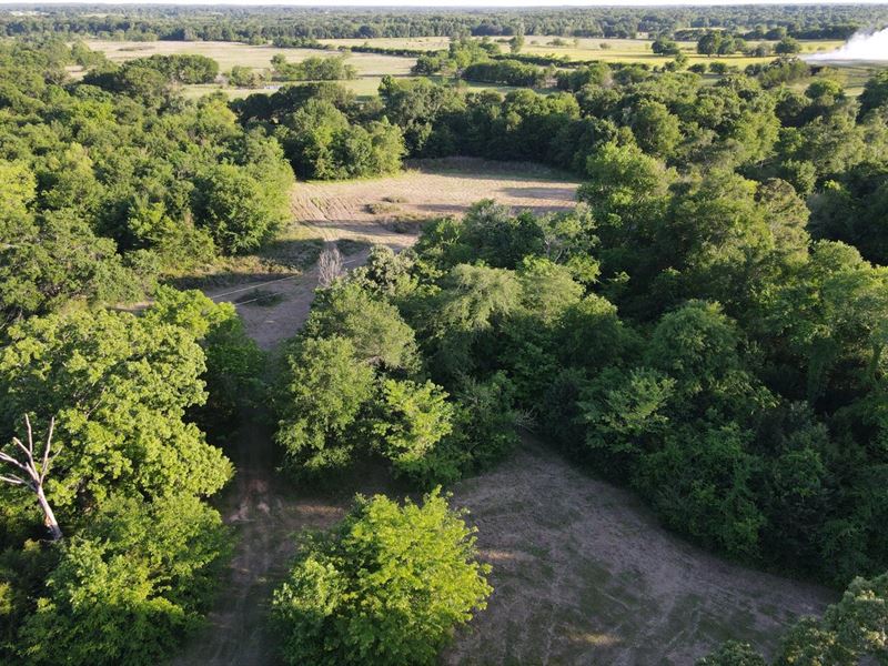 Hilltop Ranch, 17 Acres : Edgewood : Van Zandt County : Texas