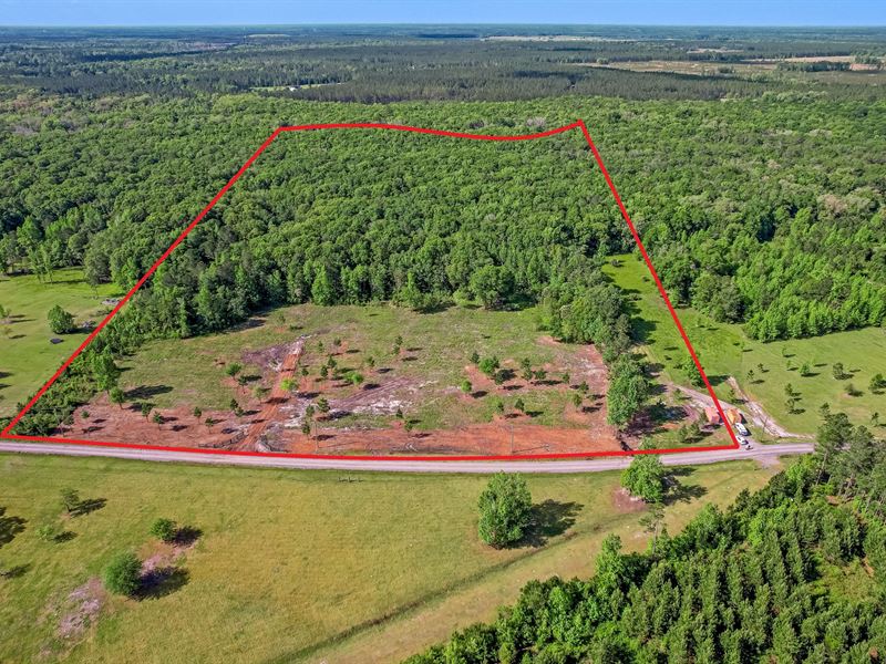 30 Acres on Wildlife Way : Callahan : Nassau County : Florida