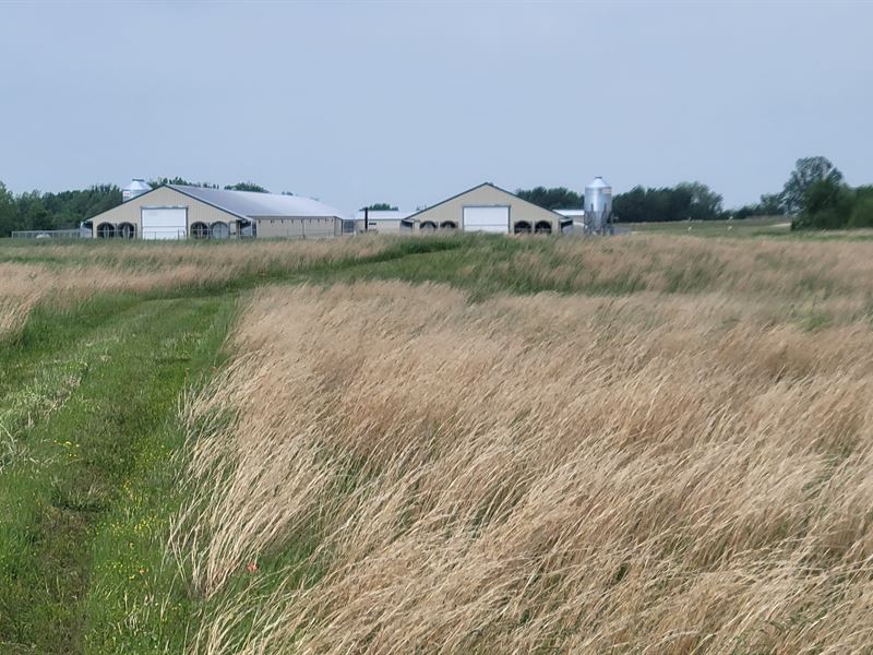 Chicken Farm with Aviagen Contract, Farm for Sale in Oklahoma, 319271