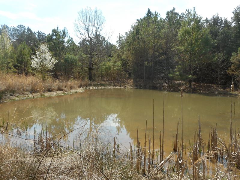 Land & 2 Homes In TN with Pond : Sardis : Hardin County : Tennessee
