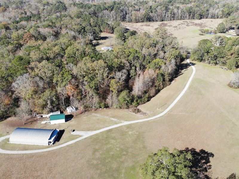 90 Acres, Natchez, Ms, Adams : Natchez : Adams County : Mississippi