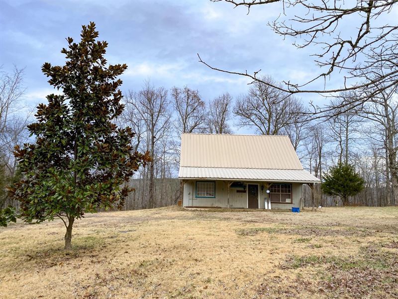 15 Acres With Fixer-Upper in Shirle : Shirley : Van Buren County : Arkansas